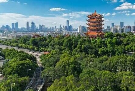 白晶晶果冻传媒个人信息-探索白晶晶果冻传媒，数字时代下的个人内容创作新风尚