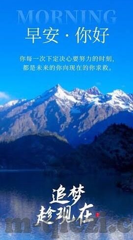 大象传媒app官网-探索大象传媒app，数字时代的文化传播新阵地